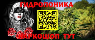 spice Партизанск