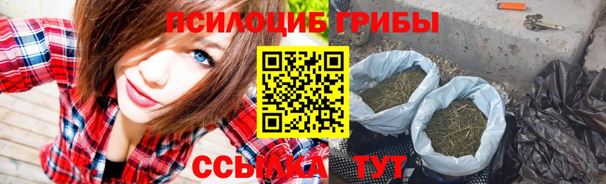 Псилоцибиновые грибы прущие грибы Сарапул